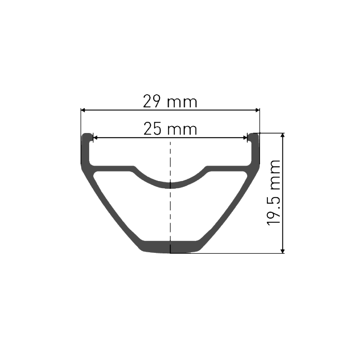 Roue Arrière DT SWISS X 1900 SPLINE 25 mm 29" 12x142 mm
