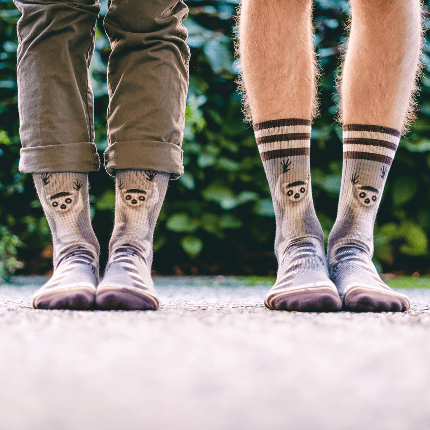 Chaussettes MERGE4 RING TAIL LEMUR