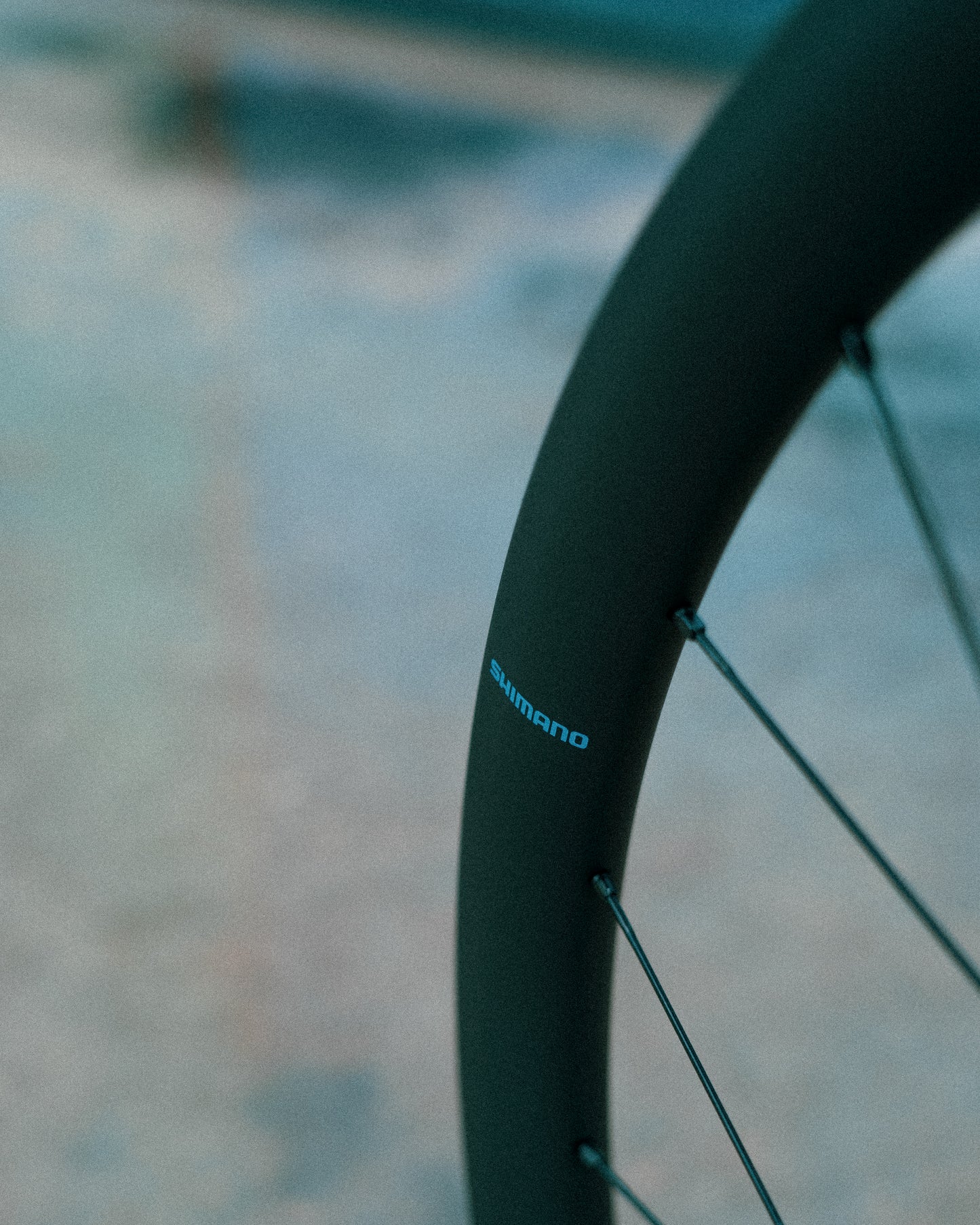 Roue Avant SHIMANO GRX WH-RX880 700c Tubeless Ready (Center Lock)
