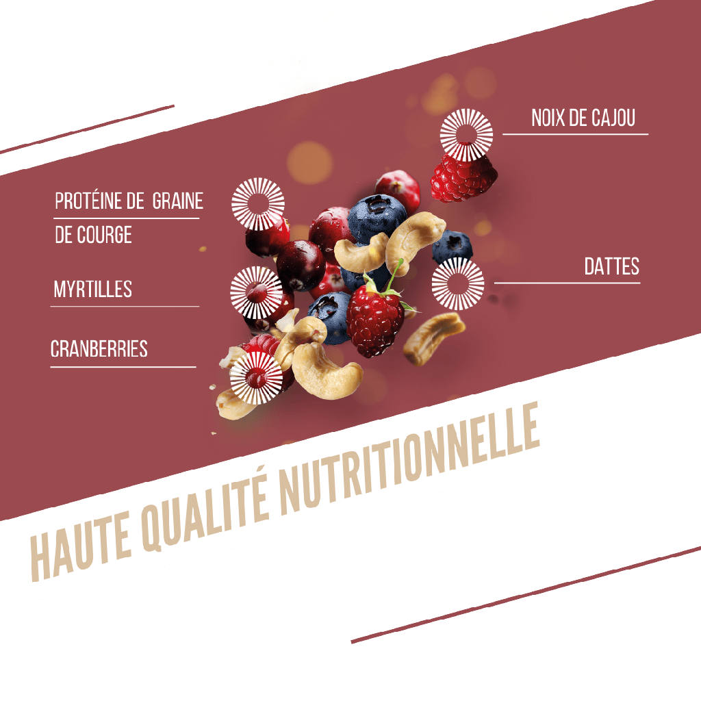 Barre Protéinée BAOUW BIO EXTRA Fruits Rouges/Cajou (50g)