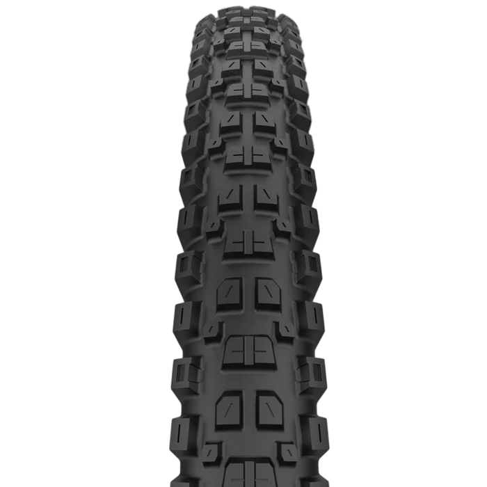 Pneu CAST PROTAGONIST 29x2.40 HardWall Smart Evo DH Tubeless Ready