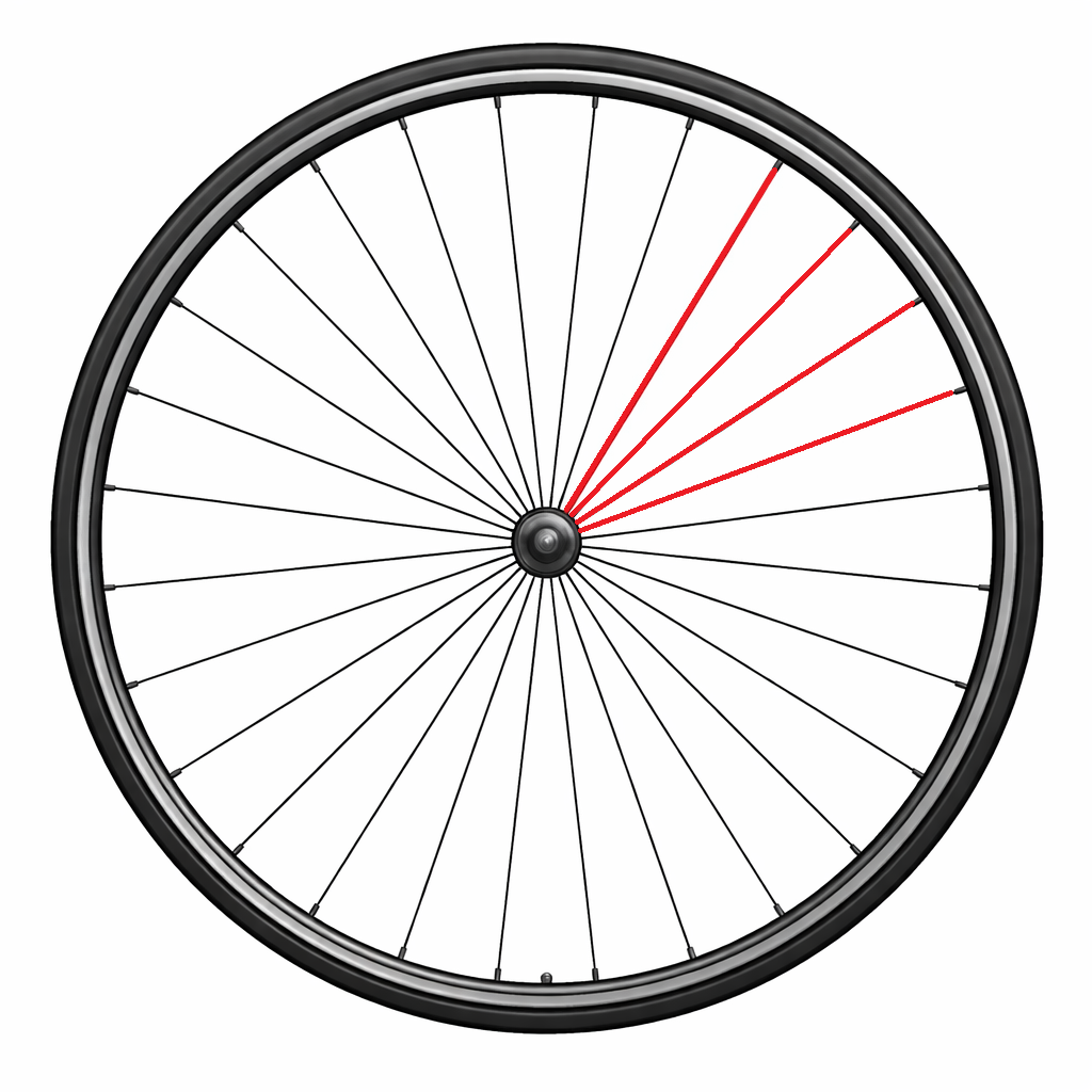 Kit de 4 Rayons CAMPAGNOLO + Écrous SHAMAL CARBONE DISC Arrière Droit 276mm