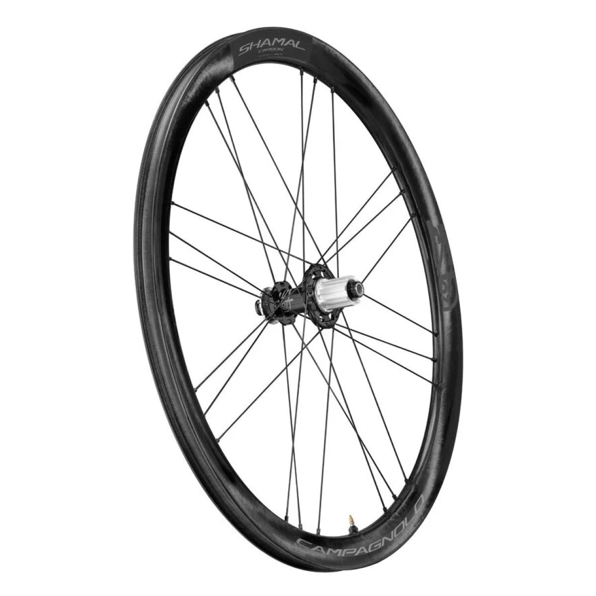 Roue arrière CAMPAGNOLO SHAMAL DISC Tubeless Ready (Center Lock)
