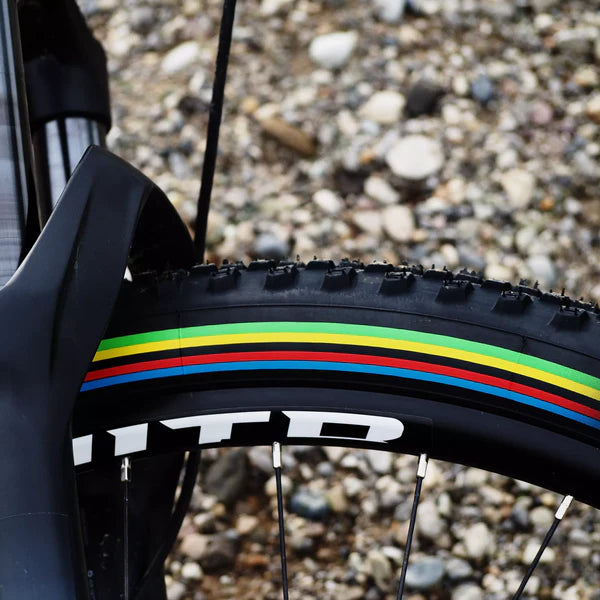 Pneu VITTORIA BARZO XC 29x2.10 "UCI Rainbow Edition" Tubeless Ready Souple Noir