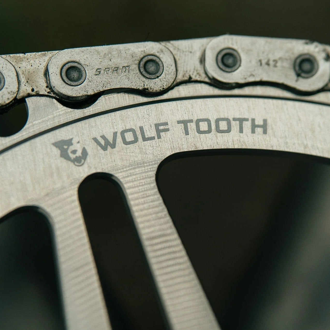 Plateau Mono WOLF TOOTH DROP-STOP B GRAVEL DM 8 Vis Sram Raw Silver