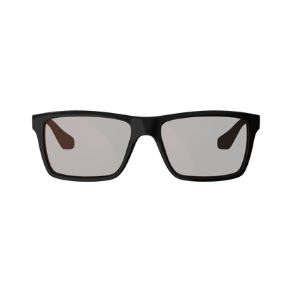 Lunettes LEATT THEVIZ SIERRA Noir/Argent Verre Polarisé Marron/Argent