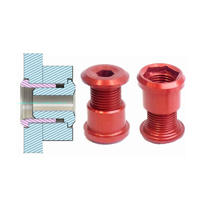 Vis Cheminées de Couronne RENNEN Regular (x5)