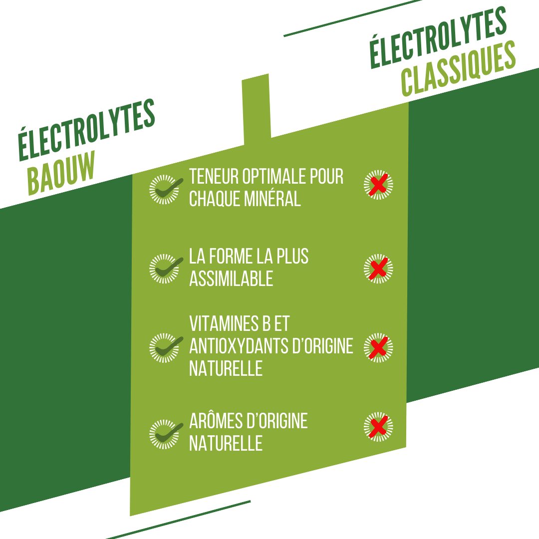 Boisson Énergétique BAOUW (Tube de 10 Pastilles) Citron Vert/Menthe