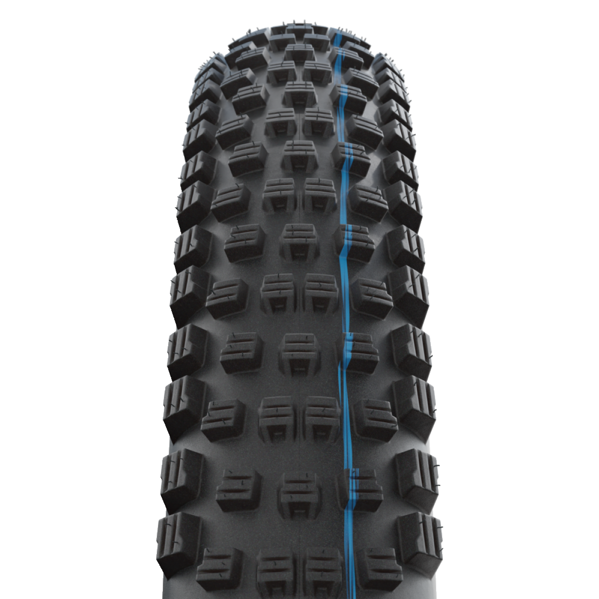 Pneu SCHWALBE WICKED WILL 29x2.60 Addix Performance TubeType Souple Noir