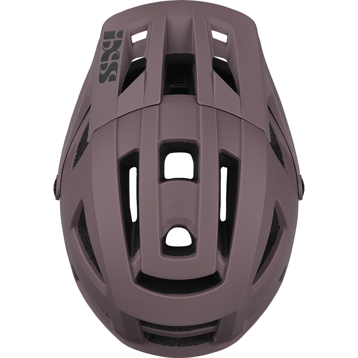 Casque VTT IXS TRIGGER AM MIPS Marron