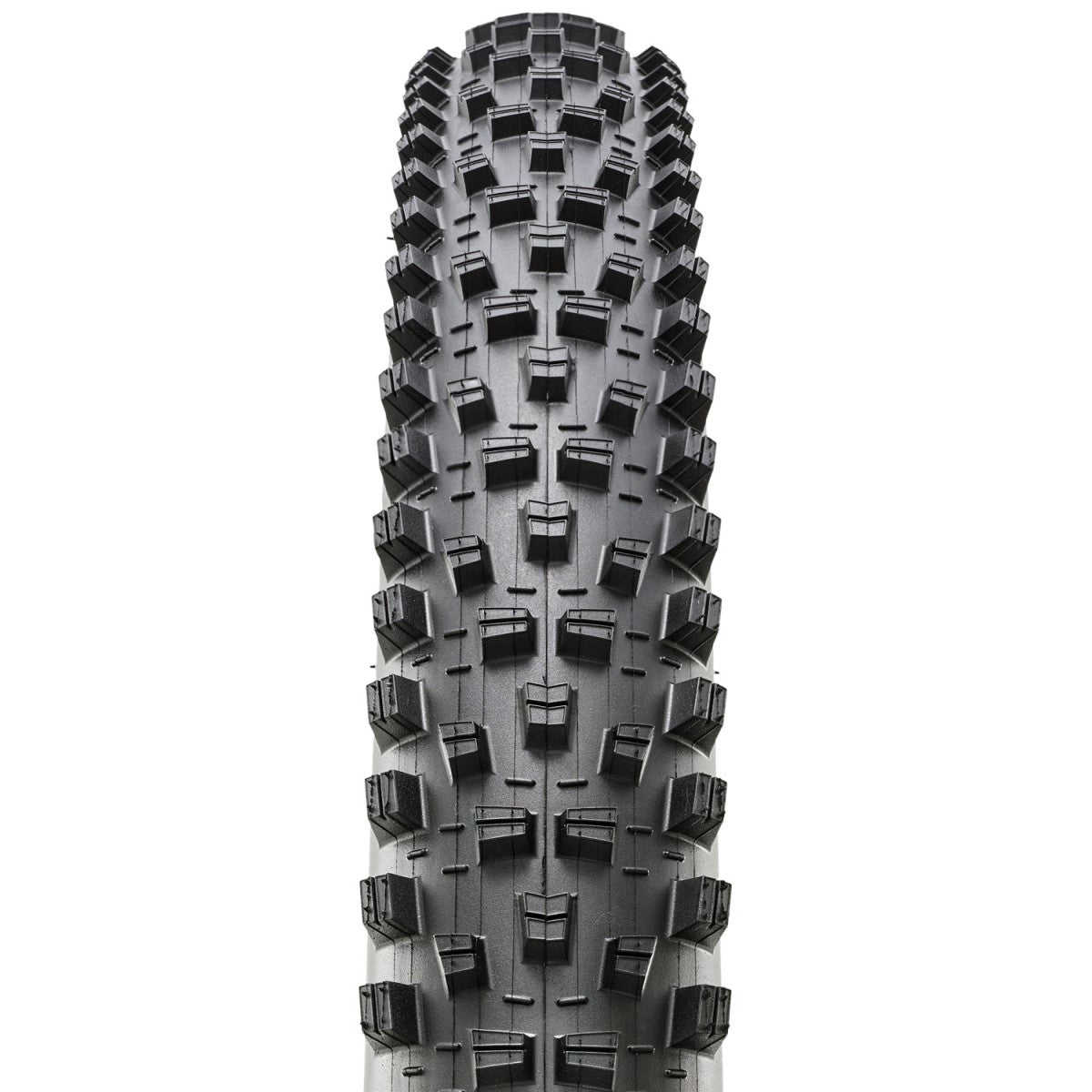 Pneu MAXXIS FOREKASTER 29x2.40 Exo+ 3C MaxxTerra Tubeless Ready Souple Noir