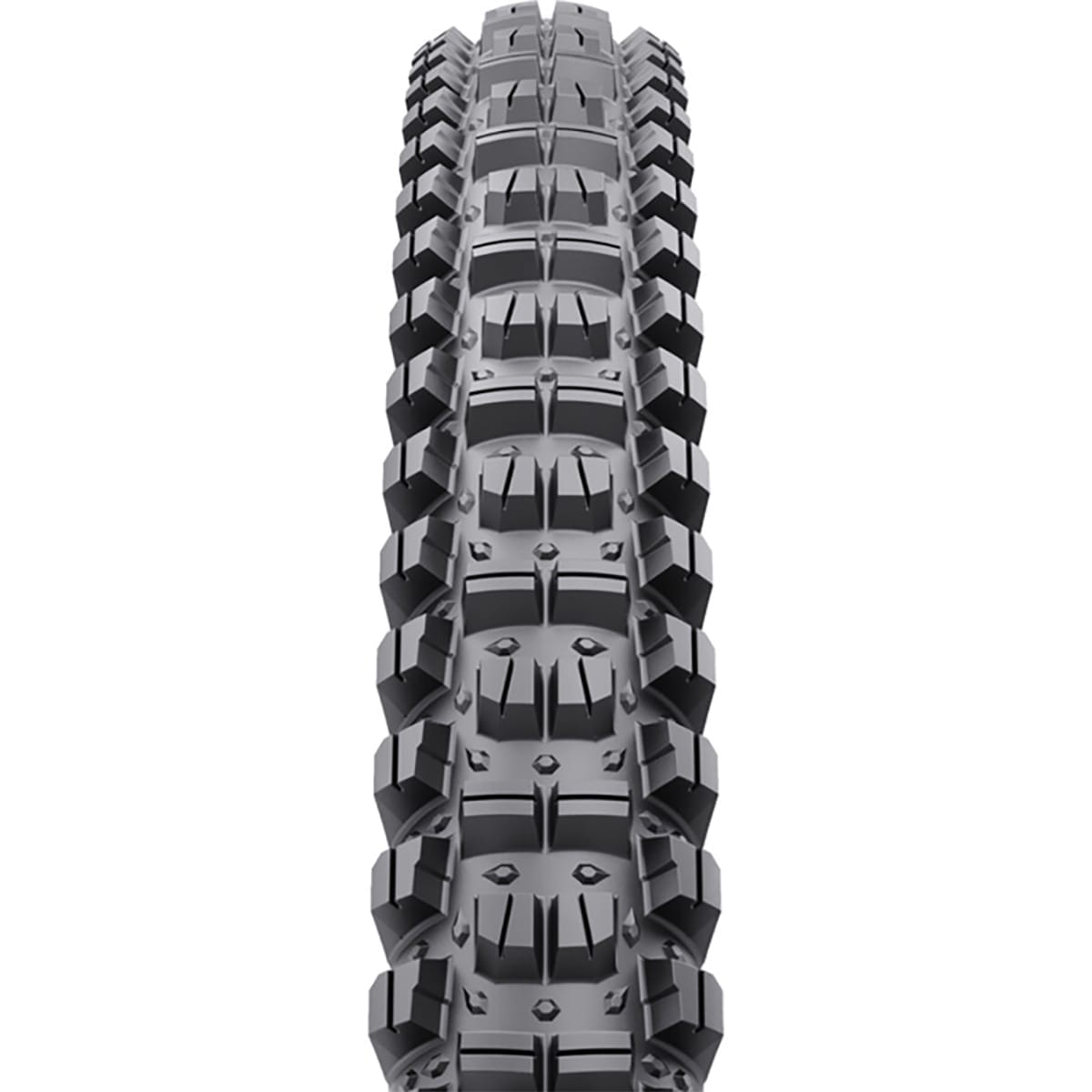 Pneu WTB JUDGE 29x2,40 TCS Tough Tubeless Ready Souple W010-0855