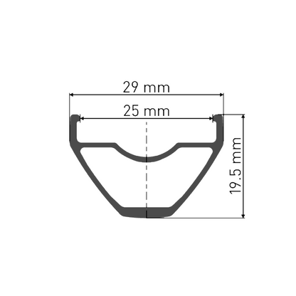 Roue Avant DT SWISS X 1900 SPLINE 25 mm 29'' 15x110 mm