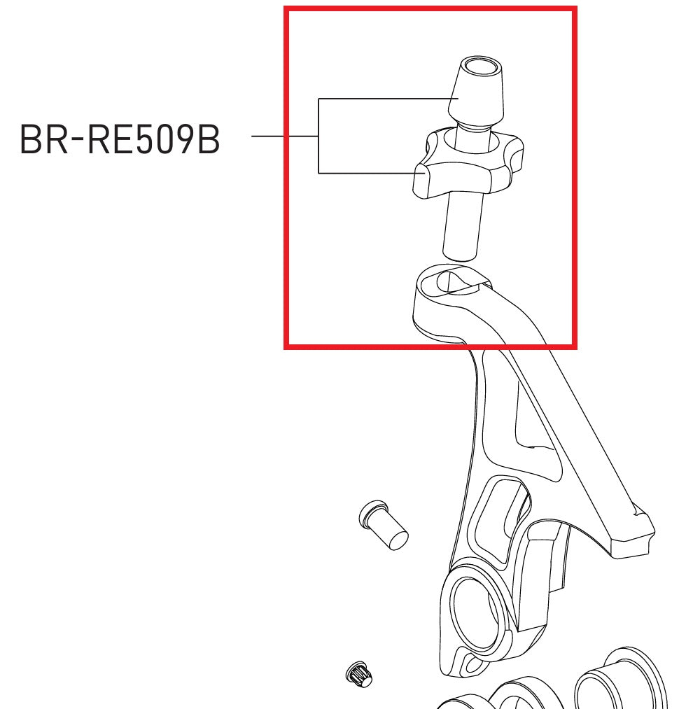 Vis de Réglage pour Étrier de Frein Direct Mount CAMPAGNOLO SUPER RECORD / RECORD 12V