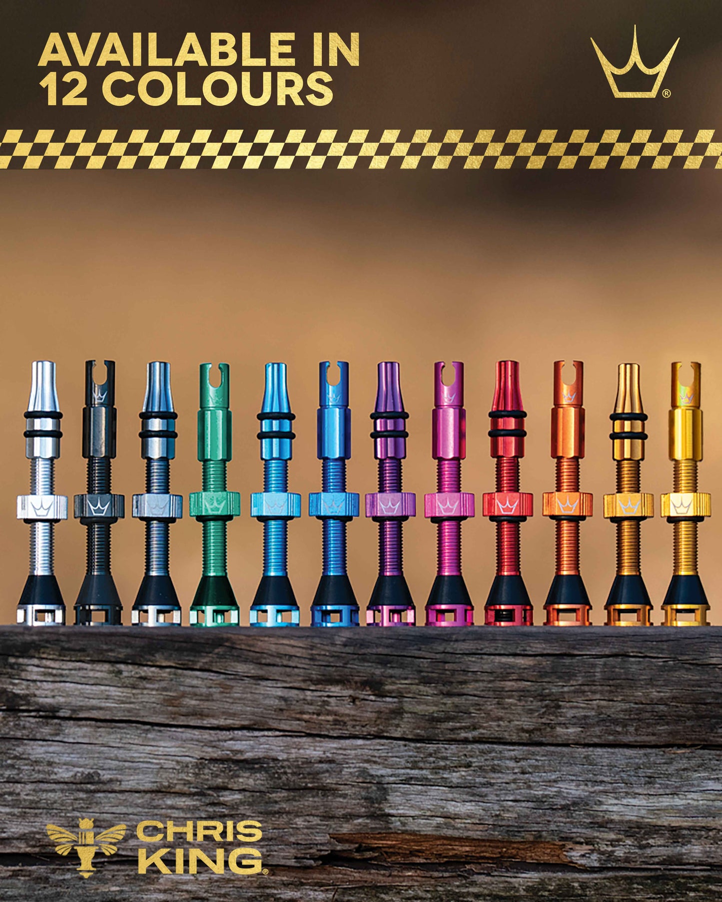 Valves Tubeless PEATY'S HOLESHOT FAST FLOW 60mm (x2) Turquoise