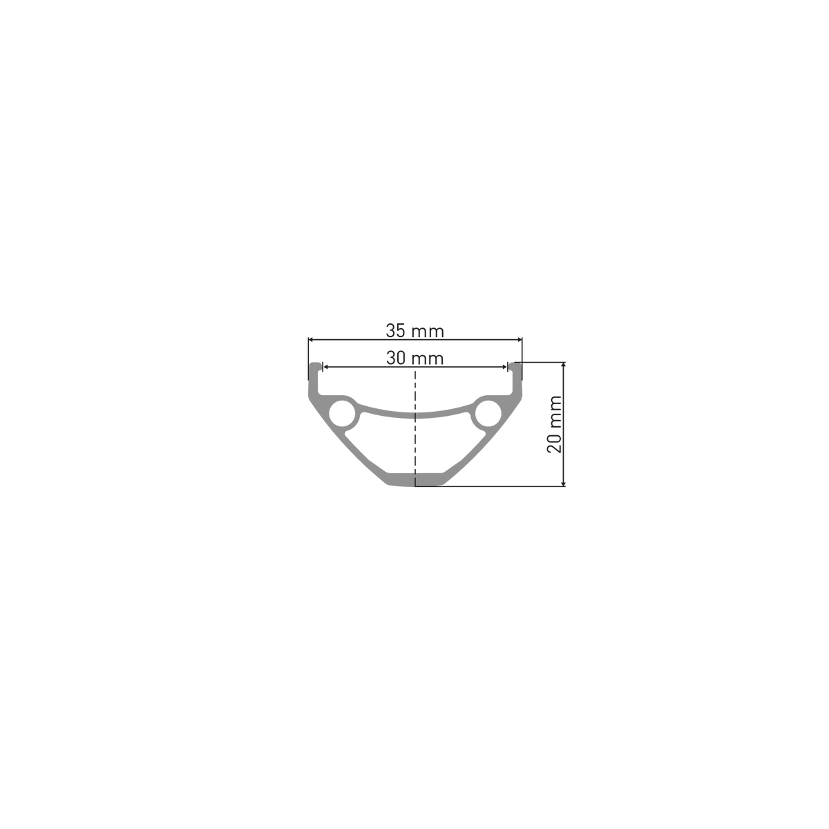 Profil de jante DT Swiss E 593