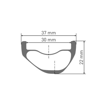 Roue Avant DT SWISS EXC 1200 CLASSIC 30 mm 29" 15x110 mm Boost