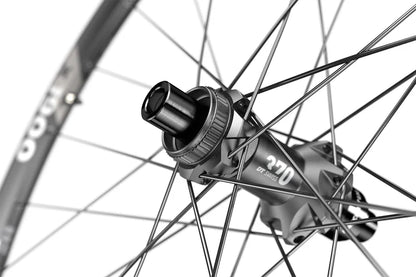 Roue Arrière DT SWISS X 1900 SPLINE 25 mm 29" 12x148 mm
