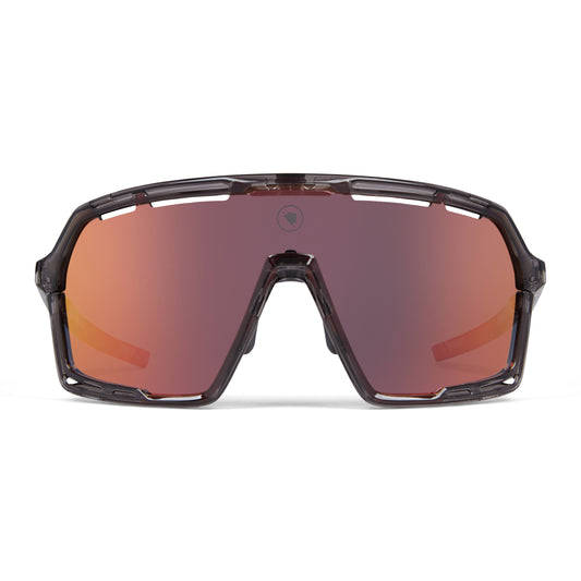 Lunettes ENDURA PRO SL Gris 2025