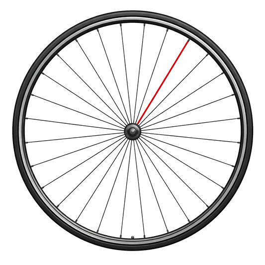 Rayon CAMPAGNOLO SHAMAL C17 Avant (x1)