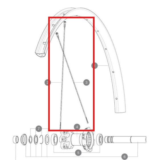 Kit 12 Raypns Ar MAVIC CROSSMAX LIGHT 29'' 294mm