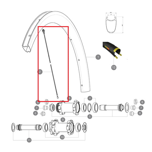 Kit 12 Rayons Av/Ar MAVIC COSMIC PRO CARBON SL T/C UST 278mm