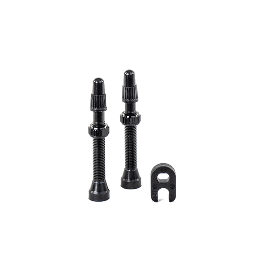 Lot de 2 Valves Tubeless HUTCHINSON