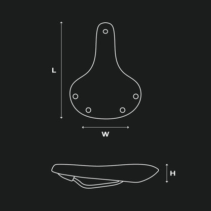Selle BROOKS CAMBIUM C67 Noir
