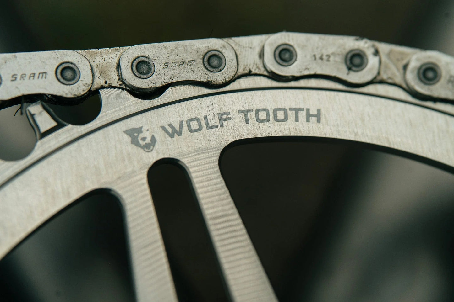 Plateau Mono WOLF TOOTH DROP-STOP B DM 8 Vis Sram Eagle Boost Offset 0mm Raw Silver
