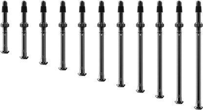 Valves Tubeless SRAM ZIPP QUARQ TyreWiz 2.0
