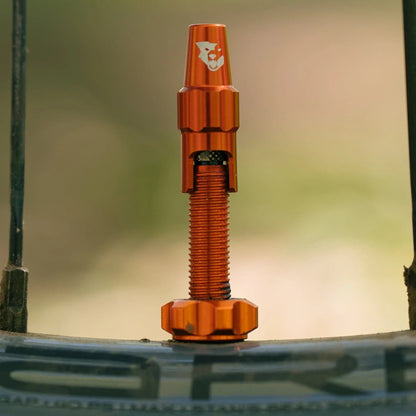 Lot de 2 Valves Tubeless WOLF TOOTH CLIK VALVE Orange