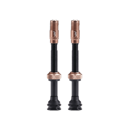 Valves BBB CORE CAP Bronze (x2)