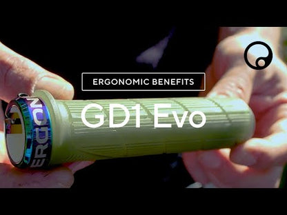 Grips ERGON GD1 EVO Regular Factory Vert