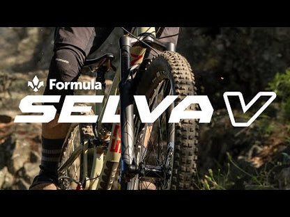 Fourche FORMULA SELVA V 29" Axe 15x110mm Boost Noir