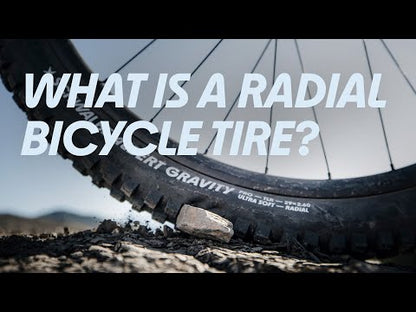 Pneu SCHWALBE ALBERT 29x2.50 TRAIL PRO ADDIX ULTRASOFT RADIAL Tubeless Ready Souple