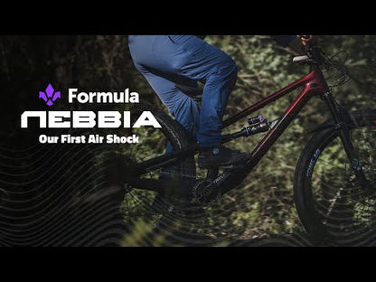 Amortisseur FORMULA NEBBIA Air Trunnion